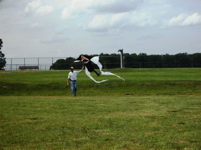 2008 KiteFestival-026.jpg